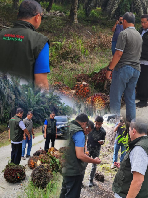 Apresiasi Mengalir: RJM Jadi Ikon Pengelolaan Kebun Agrinas di Riau