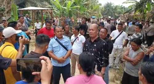 Puluhan Tahun Warga Jadi Penonton Akibat Jimmy Mafia Kebun - KSO Ambil Alih Kendali