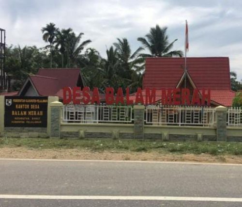 Pemerintah Desa Balam Merah Pastikan Pengelolaan Dana Desa Transparan dan Sesuai Ketentuan
