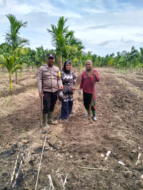 Polsek Merbau Lakukan Pengecekan Lahan Jagung Pipil di Desa Bandul, Dukung Swasembada Pangan Nasional