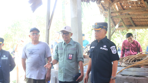 Sapi Qurban Bantuan Presiden RI untuk Warga Kepulauan Meranti Langsung Di Tinjau Bupati H.Asmar