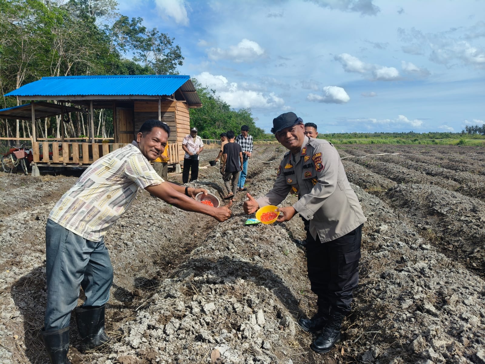 Polsek Rangsang Dukung Swasembada Pangan, Tanam Jagung Pipil 1,5 Hektar di Teluk Samak
