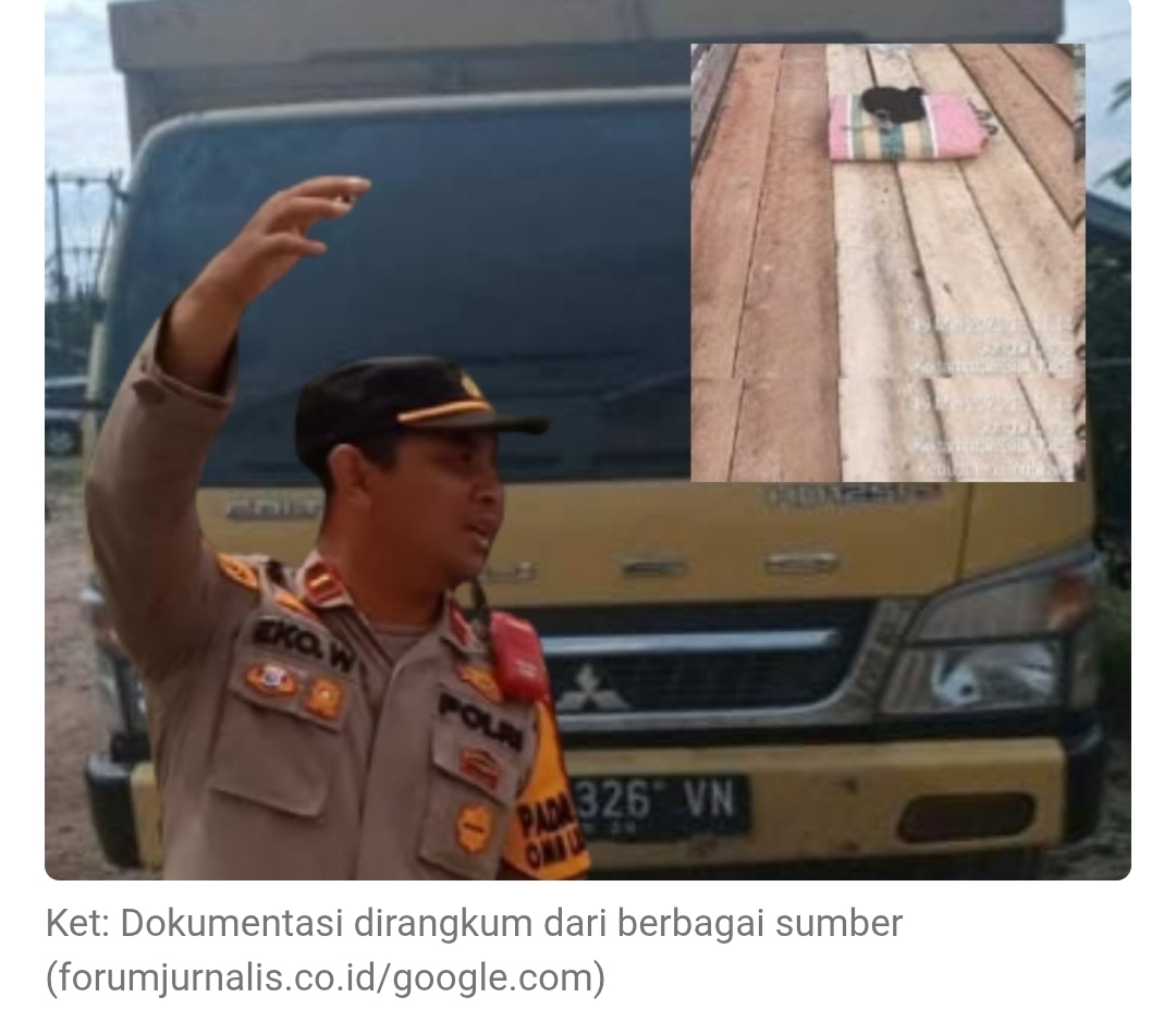 Dugaan ilegal Logging di Siak Kecil Libatkan Oknum TNI dan Kapolsek, KOMPLI Angkat Bicara