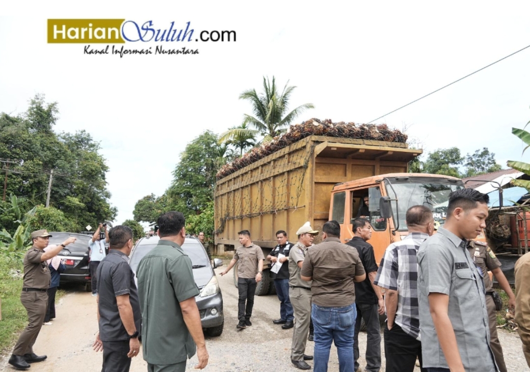Pemilik Peron di Toro Mengaku Sudah Beli Lahan Dalam Kawasan TNTN Pada Ninik Mamak, Apakah Kades Lubuk Kembang Bunga Melindungi?